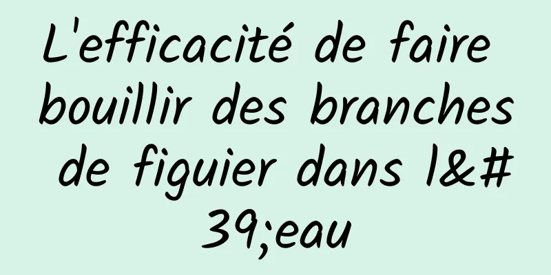 L'efficacité de faire bouillir des branches de figuier dans l'eau