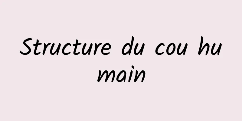 Structure du cou humain