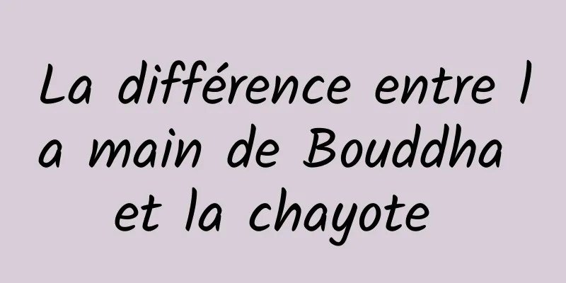 La différence entre la main de Bouddha et la chayote 