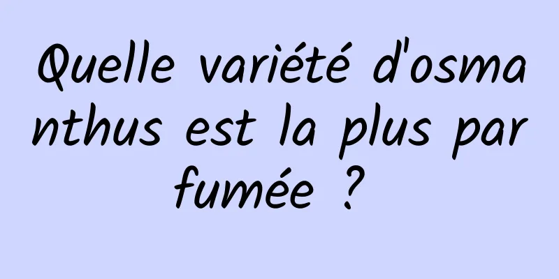 Quelle variété d'osmanthus est la plus parfumée ? 