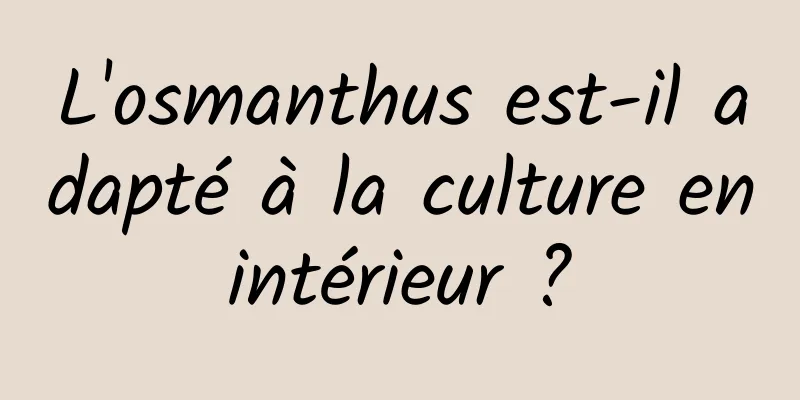 L'osmanthus est-il adapté à la culture en intérieur ? 