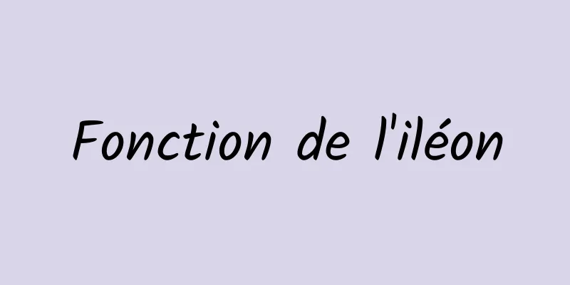 Fonction de l'iléon