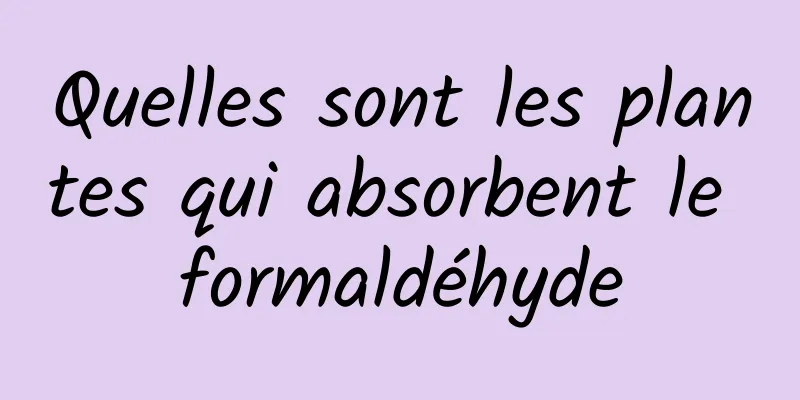 Quelles sont les plantes qui absorbent le formaldéhyde