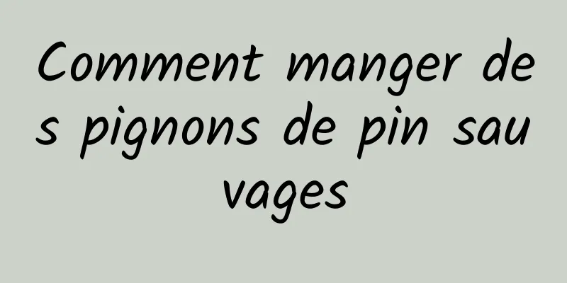 Comment manger des pignons de pin sauvages