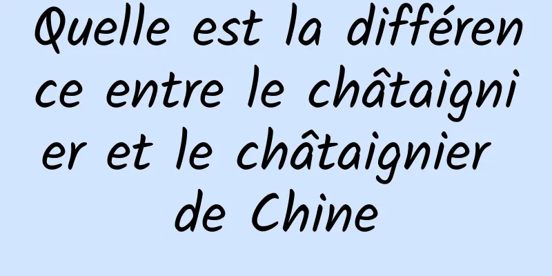 Quelle est la différence entre le châtaignier et le châtaignier de Chine