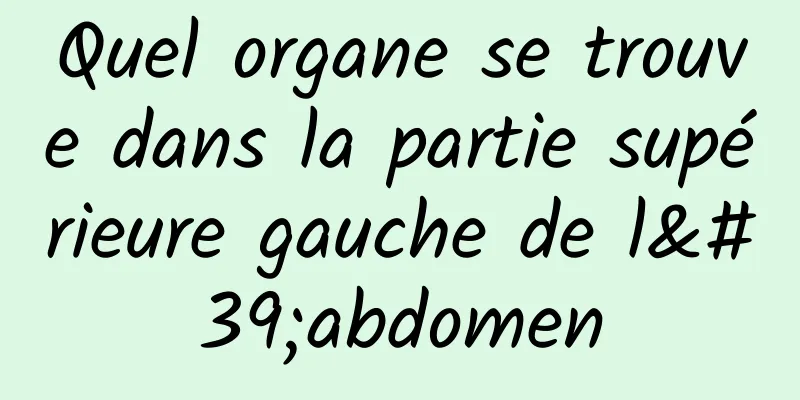 Quel organe se trouve dans la partie supérieure gauche de l'abdomen