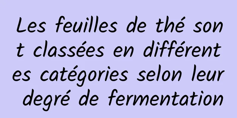 Les feuilles de thé sont classées en différentes catégories selon leur degré de fermentation