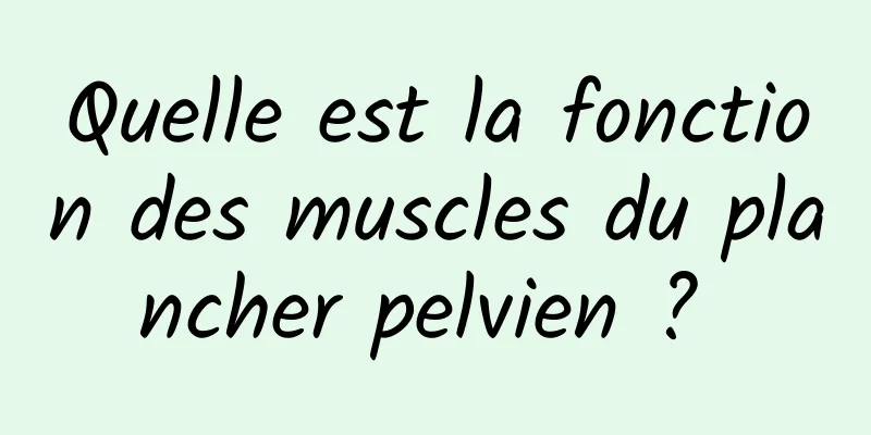 Quelle est la fonction des muscles du plancher pelvien ? 