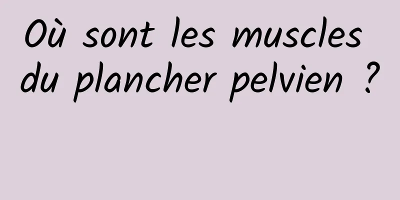 Où sont les muscles du plancher pelvien ? 