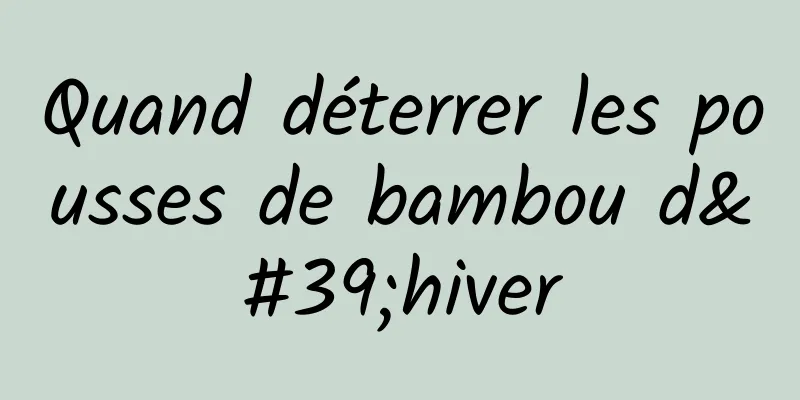 Quand déterrer les pousses de bambou d'hiver