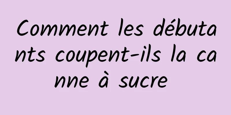 Comment les débutants coupent-ils la canne à sucre 