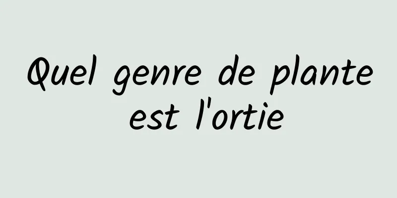 Quel genre de plante est l'ortie