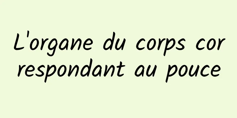 L'organe du corps correspondant au pouce