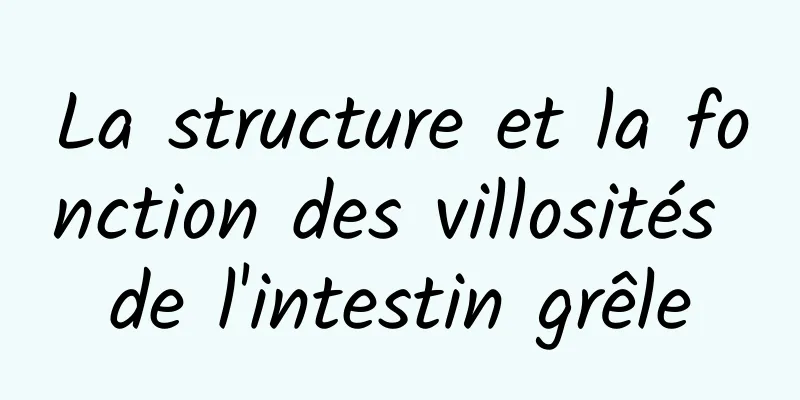 La structure et la fonction des villosités de l'intestin grêle