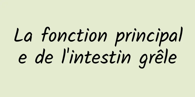 La fonction principale de l'intestin grêle