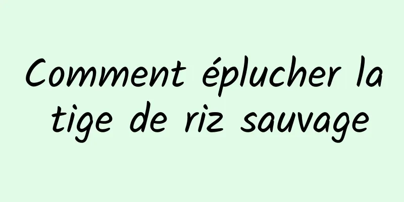 Comment éplucher la tige de riz sauvage