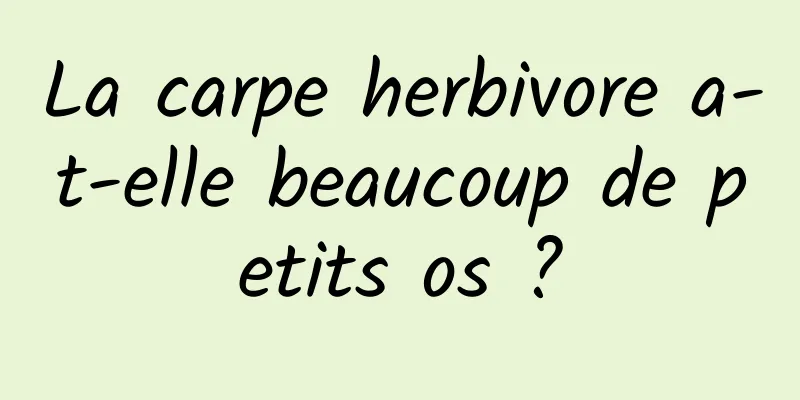 La carpe herbivore a-t-elle beaucoup de petits os ?