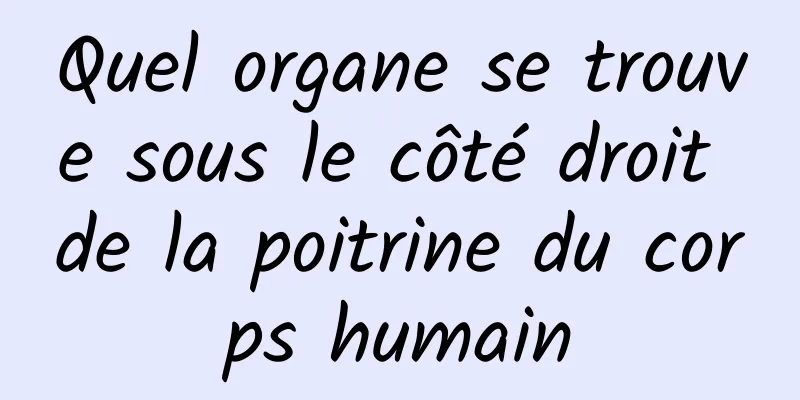 Quel organe se trouve sous le côté droit de la poitrine du corps humain