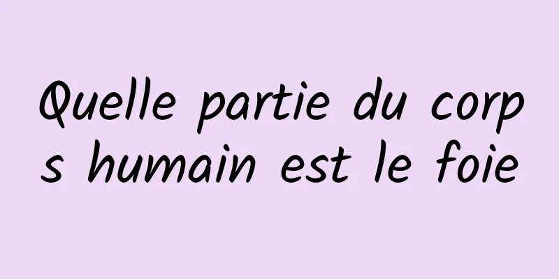 Quelle partie du corps humain est le foie