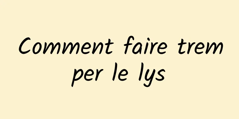 Comment faire tremper le lys