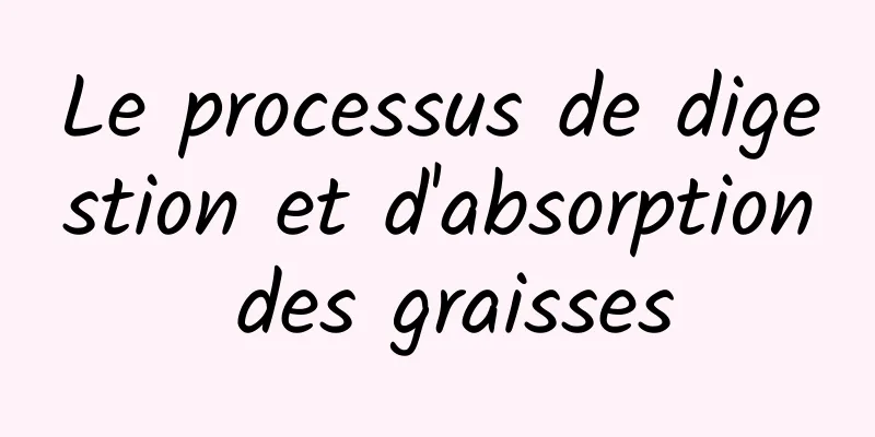 Le processus de digestion et d'absorption des graisses