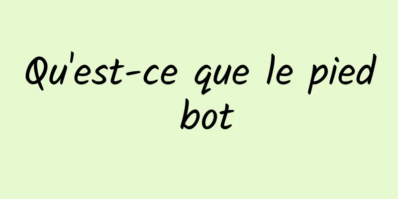 Qu'est-ce que le pied bot