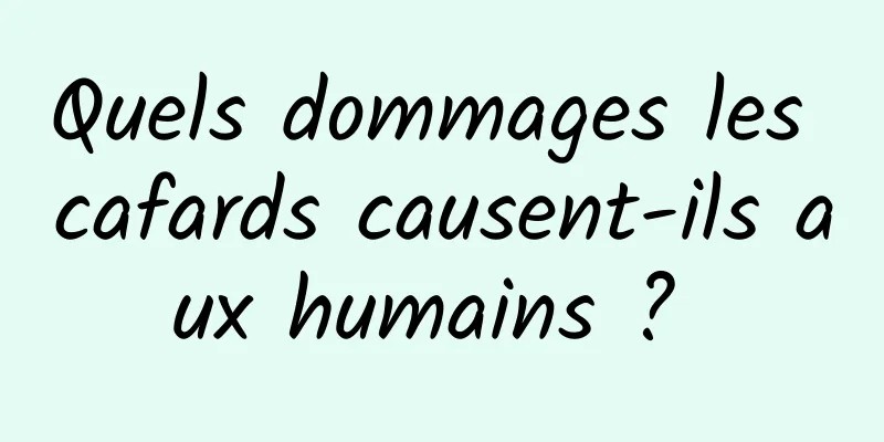 Quels dommages les cafards causent-ils aux humains ? 