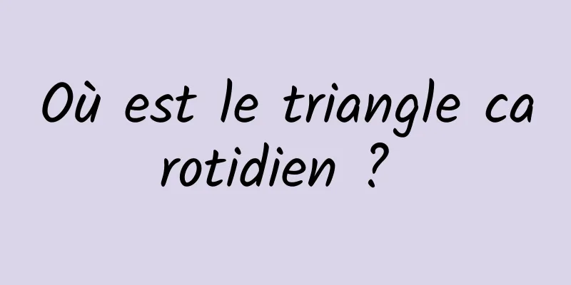 Où est le triangle carotidien ? 