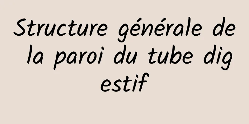 Structure générale de la paroi du tube digestif