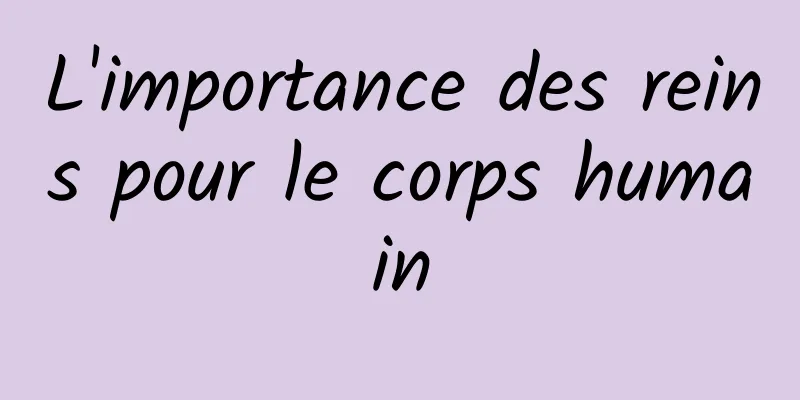 L'importance des reins pour le corps humain