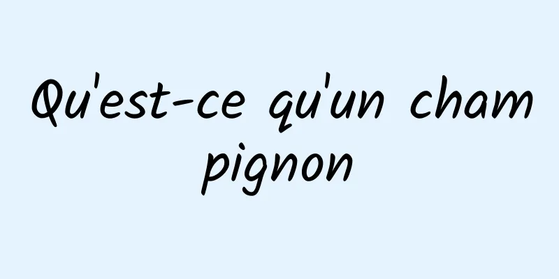 Qu'est-ce qu'un champignon