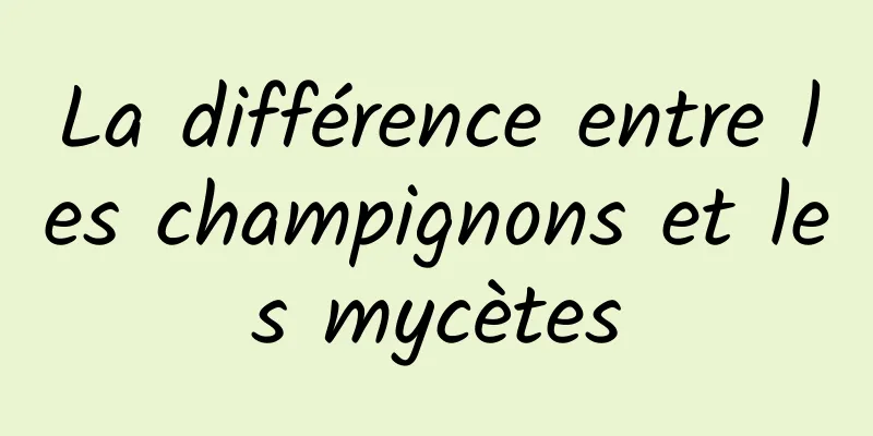 La différence entre les champignons et les mycètes