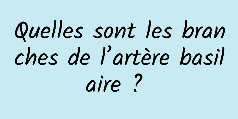 Quelles sont les branches de l’artère basilaire ? 