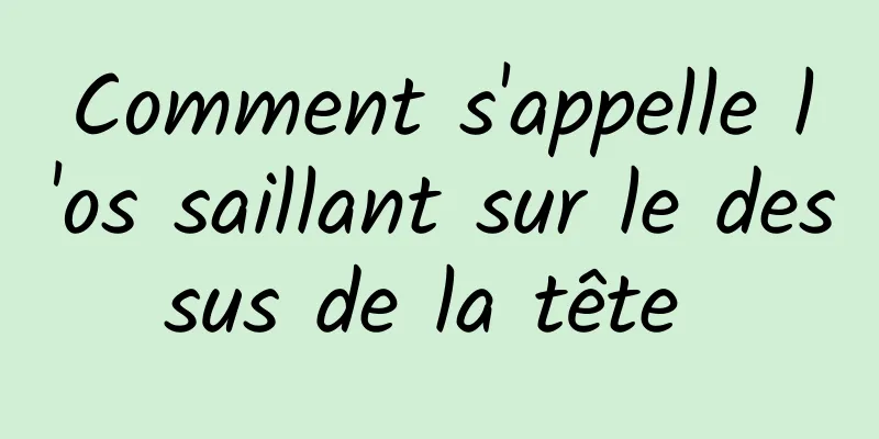 Comment s'appelle l'os saillant sur le dessus de la tête 