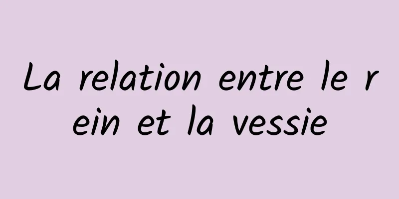 La relation entre le rein et la vessie