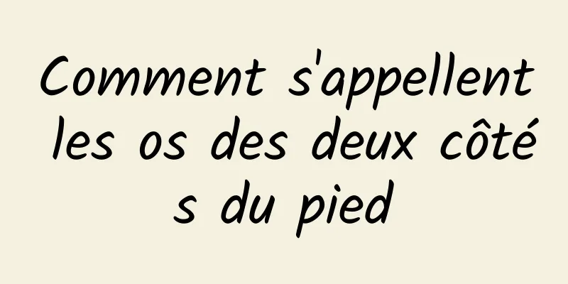 Comment s'appellent les os des deux côtés du pied