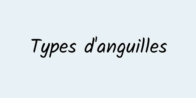 Types d'anguilles