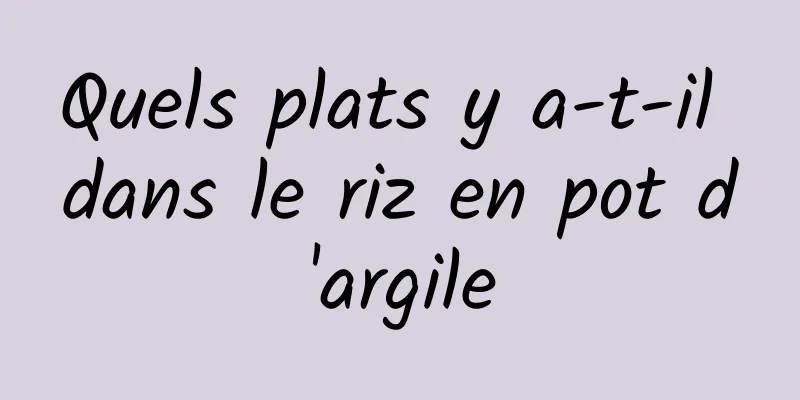 Quels plats y a-t-il dans le riz en pot d'argile