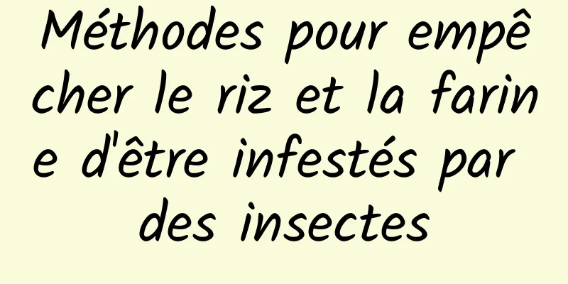 Méthodes pour empêcher le riz et la farine d'être infestés par des insectes