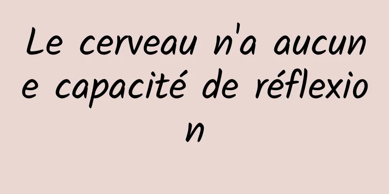 Le cerveau n'a aucune capacité de réflexion