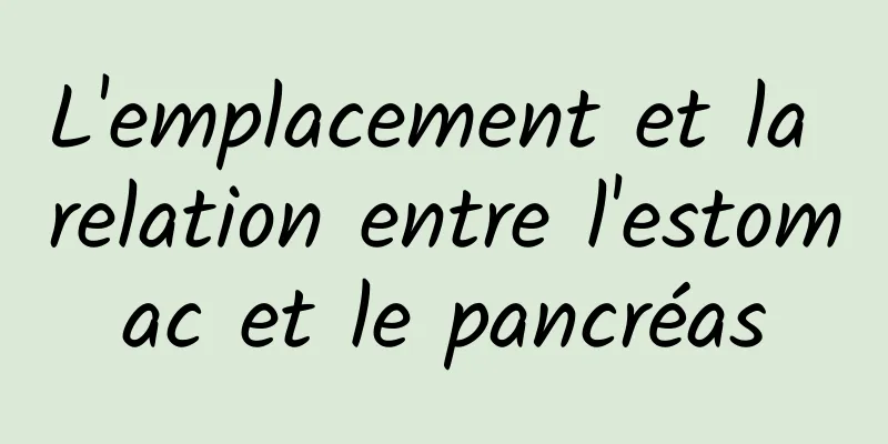 L'emplacement et la relation entre l'estomac et le pancréas