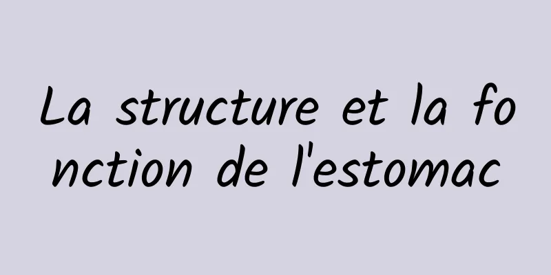 La structure et la fonction de l'estomac