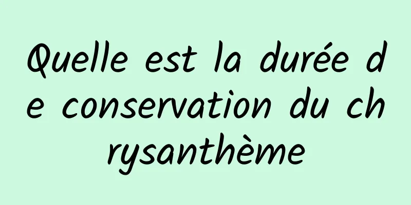 Quelle est la durée de conservation du chrysanthème