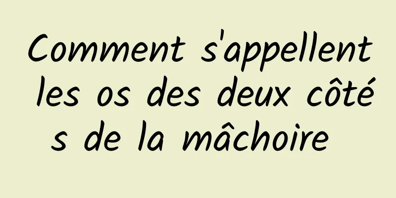 Comment s'appellent les os des deux côtés de la mâchoire 