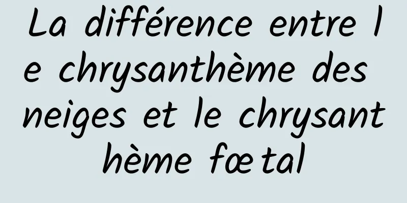 La différence entre le chrysanthème des neiges et le chrysanthème fœtal