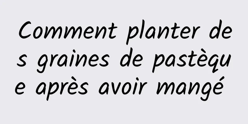 Comment planter des graines de pastèque après avoir mangé 