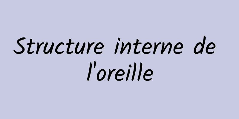 Structure interne de l'oreille