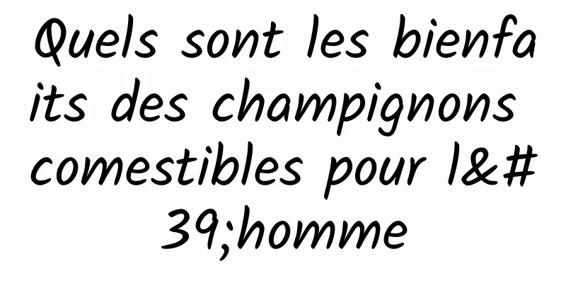 Quels sont les bienfaits des champignons comestibles pour l'homme