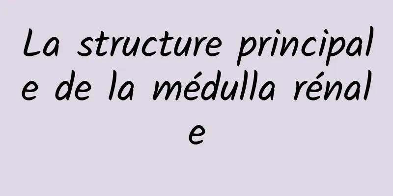 La structure principale de la médulla rénale