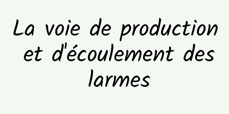 La voie de production et d'écoulement des larmes